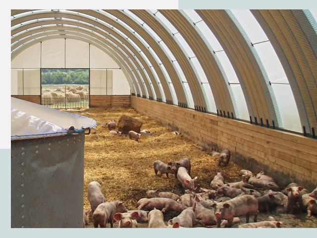 Строительство свинарников в Рязани