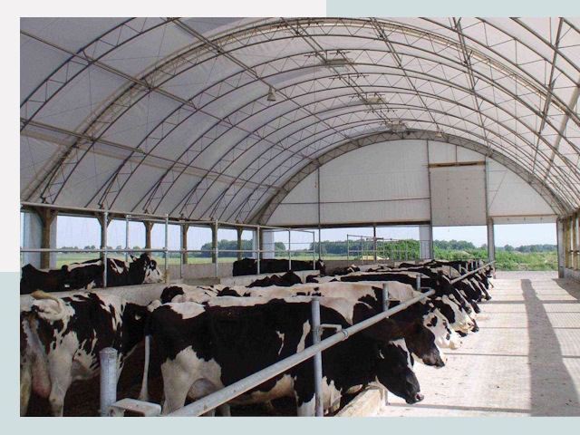 Тентовые коровники в Рязани