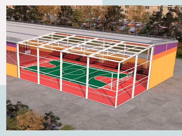 Спортивные сооружения в Рязани