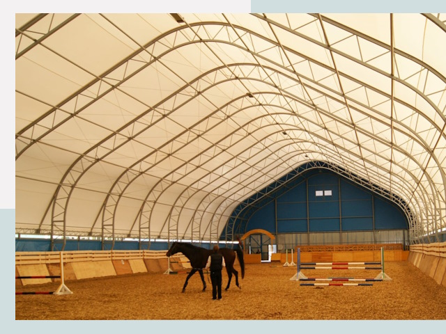 Строительство конных манежей в Рязани